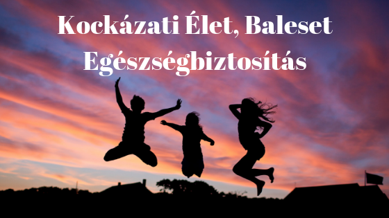 Életbiztosítás - Testőr